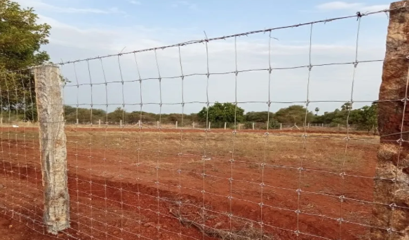 Why Professional Fence Installation Matters More Than You Think